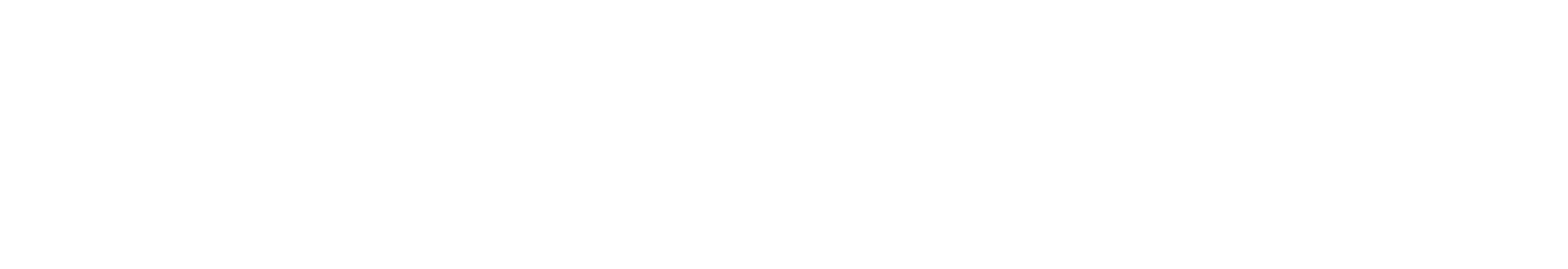 SilverTech Logo White